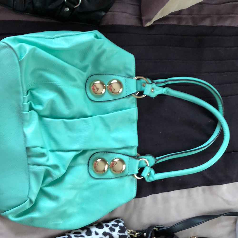 Teal purse